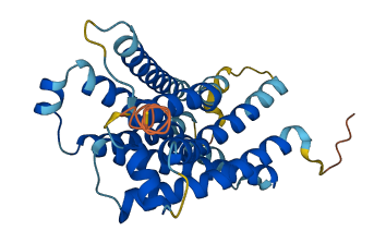 Mrgpra 3D structure