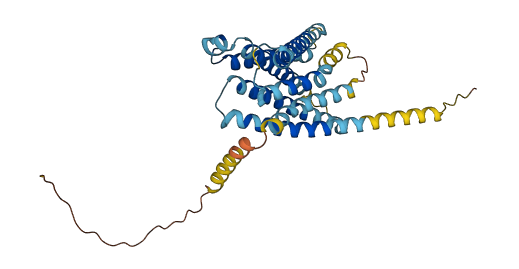 Mrgprb8 3D structure