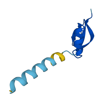 Defb38 3D structure