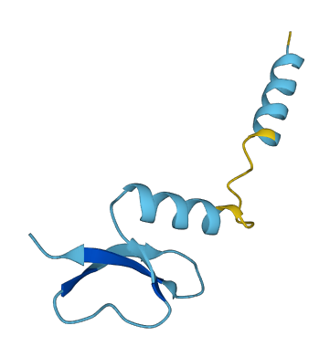Defb14 3D structure