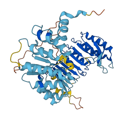 Oog2 3D structure
