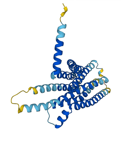 Tas2r140 3D structure