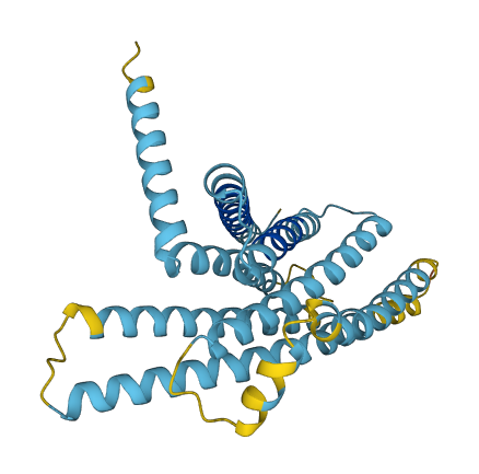 Tas2r136 3D structure