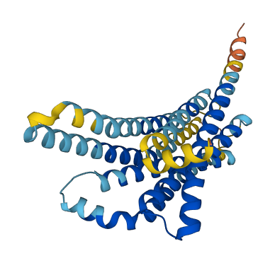 Tas2r135 3D structure