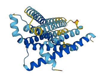 Tas2r143 3D structure