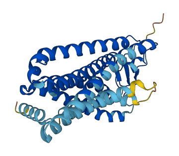 Olfr1509 3D structure