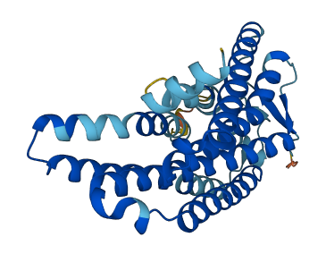 Olfr1013 3D structure