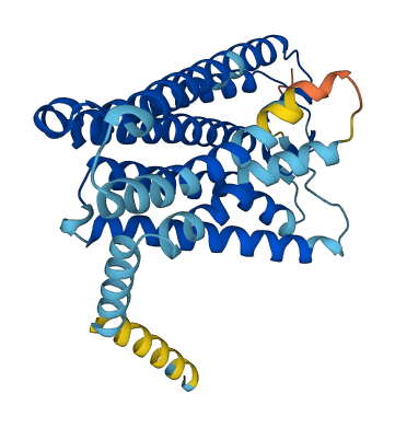Olfr867 3D structure
