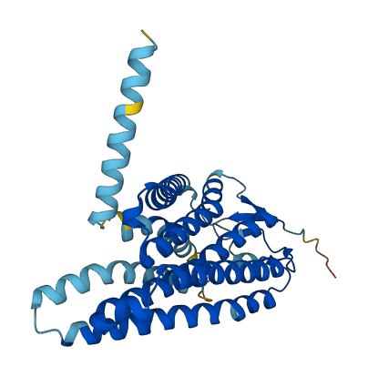 Olfr180 3D structure