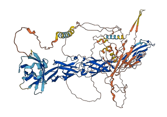 Dsg1c 3D structure