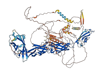 Dsg1b 3D structure