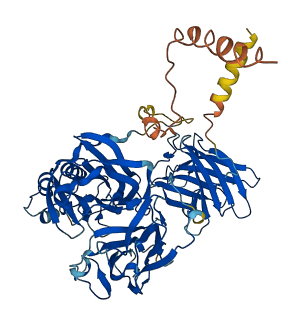 Moxd2 3D structure