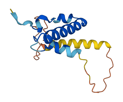 ZNF720 3D structure