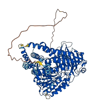 ERMP1 3D structure
