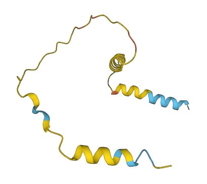 SSBP3-AS1 3D structure