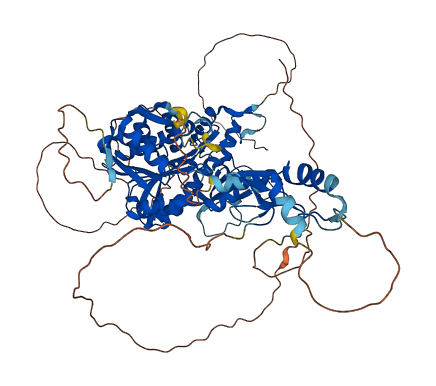 TRMT1L 3D structure