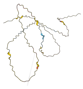 C16orf82 3D structure
