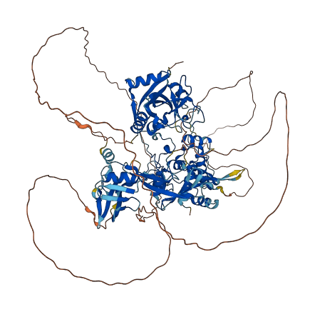ZC3HAV1 3D structure
