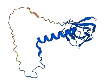 MRPL21 3D structure
