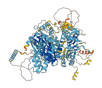 EFL1 3D structure