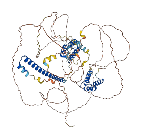 HDX 3D structure