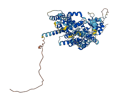 DPY19L4 3D structure