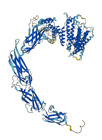 TRAPPC11 3D structure