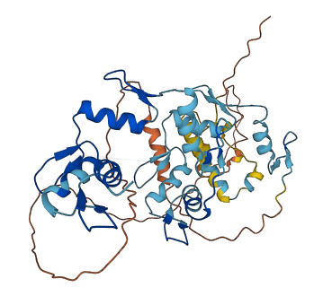 ZNF550 3D structure