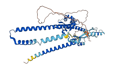 NUP54 3D structure