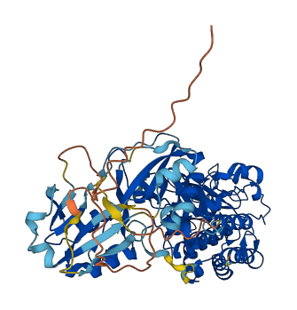 DGLUCY 3D structure