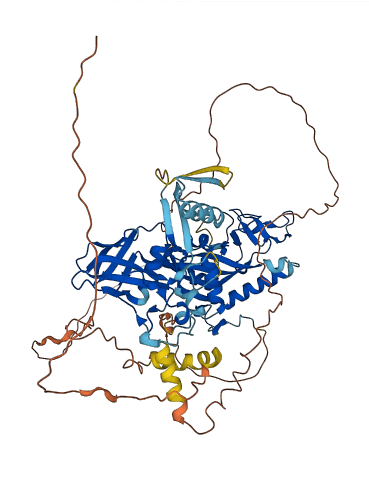 TIPARP 3D structure
