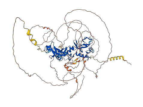 PRICKLE2 3D structure