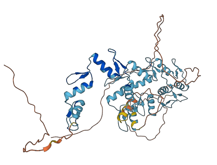 ZNF572 3D structure