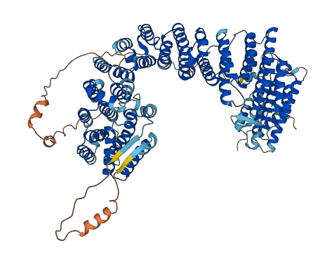 VPS35L 3D structure