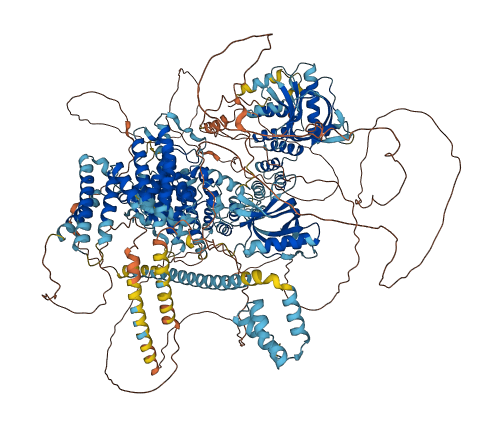 RGPD4 3D structure
