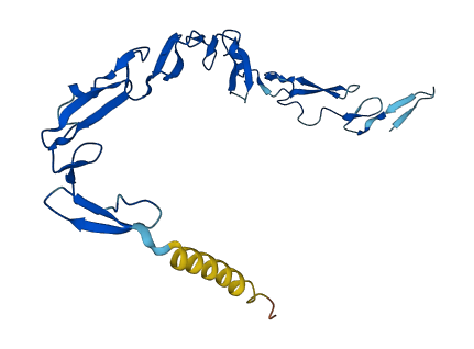 NOTCH2NLA 3D structure