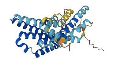 OR2W3 3D structure