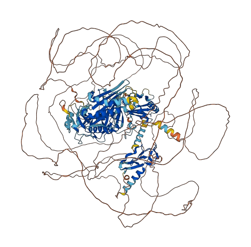 ZFYVE16 3D structure