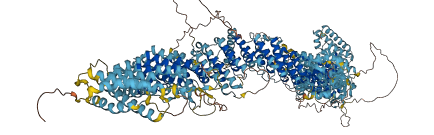 MON2 3D structure