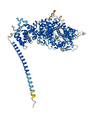 UBE3B 3D structure