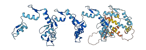 ZNF571 3D structure