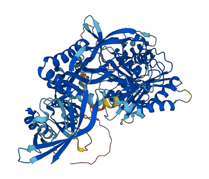 PIWIL4 3D structure