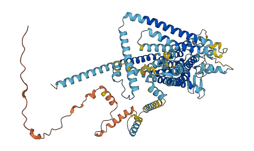 TMC7 3D structure