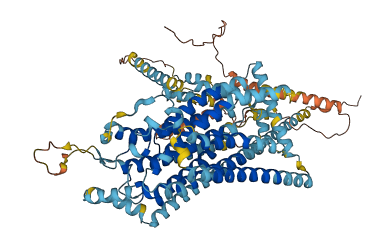 TMC6 3D structure