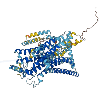 TMC4 3D structure