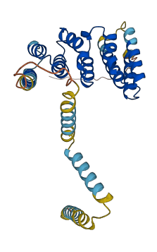 PEX26 3D structure