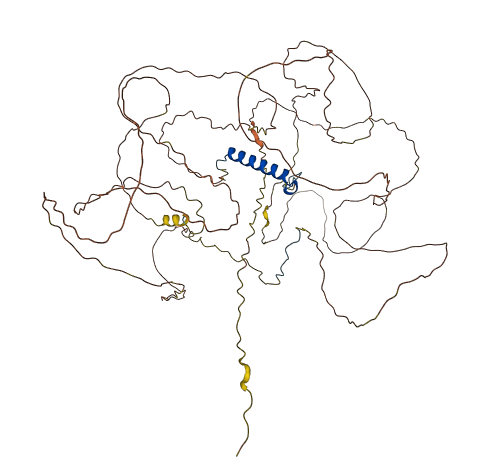 NUFIP2 3D structure