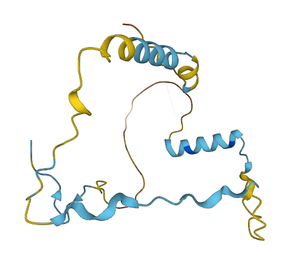 SZRD1 3D structure