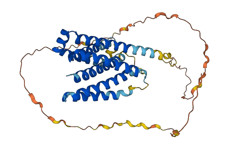 GRINA 3D structure