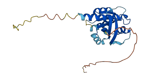 ERAS 3D structure